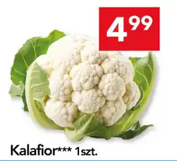 Lewiatan Kalafior*** oferta