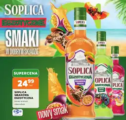 Stokrotka Soplica smakowa egzotyczna oferta