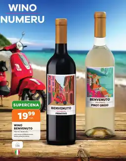 Stokrotka Wino Benvenuto oferta