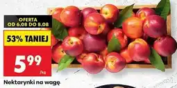 Biedronka Nektarynki na wagę oferta