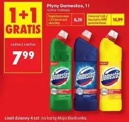 Biedronka Płyny Domestos oferta