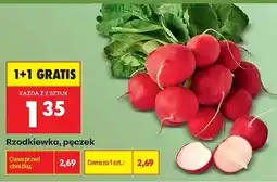 Biedronka Rzodkiewka, pęczek oferta