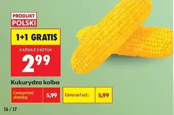 Biedronka Kukurydza kolba oferta