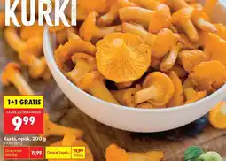 Biedronka Kurki oferta