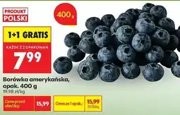 Biedronka Borówka amerykańska oferta