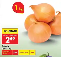Biedronka Cebula oferta
