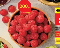 Biedronka Maliny oferta