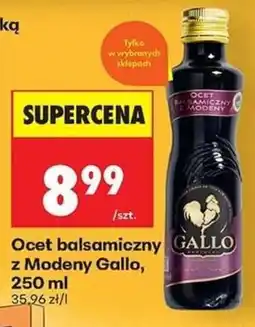 Biedronka Ocet balsamiczny z Modeny Gallo oferta