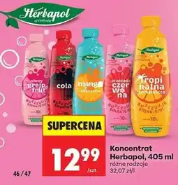 Biedronka Konzentrat Herbapol oferta