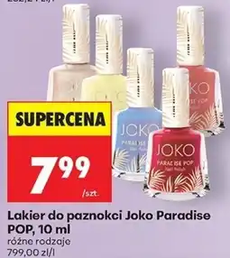 Biedronka Lakier do paznokci Joko Paradise POP oferta