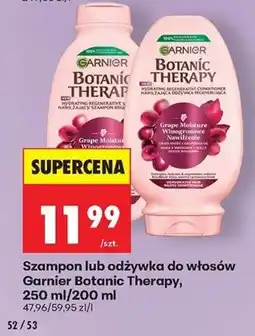 Biedronka Szampon lub odżywka do włosów Garnier Botanic Therapy oferta