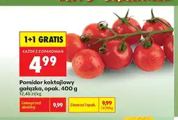 Biedronka Pomidor koktajlowy gałązka oferta