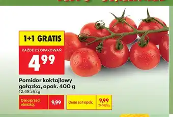 Biedronka Pomidor koktajlowy gałązka oferta