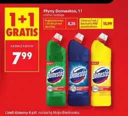 Biedronka Płyn do WC Domestos Pine oferta