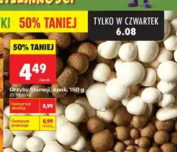 Biedronka Grzyby Shimeji oferta