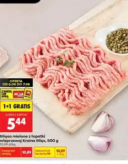 Biedronka Mięso mielone z łopatki wieprzowej Kraina Mięs oferta