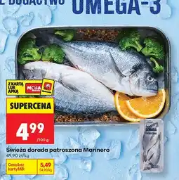 Biedronka Świeża dorada patroszona Marinero oferta