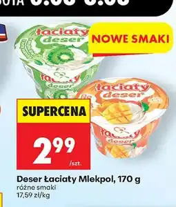Biedronka Deser Łaciaty Mlekpol o smaku mango oferta