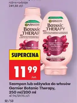 Biedronka Szampon do włosów Garnier Botanic Therapy Winogronowe Nawilżenie oferta