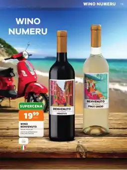 Stokrotka Wino białe półwytrawne Benvenuto Pinot Grigio oferta