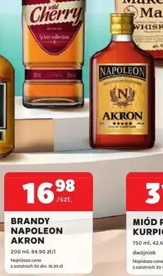 Stokrotka Brandy Napoleon Akron oferta