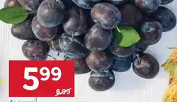 Stokrotka Śliwki oferta