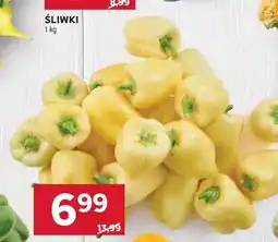 Stokrotka Papryka biała oferta