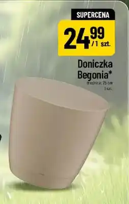 Polomarket Doniczka Begonia 25 cm oferta