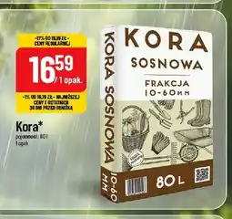 Polomarket Kora sosnowa oferta