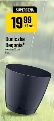 Polomarket Doniczka Begonia 22 cm oferta