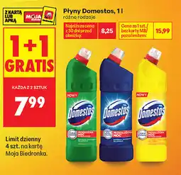 Biedronka Płyn Domestos oferta