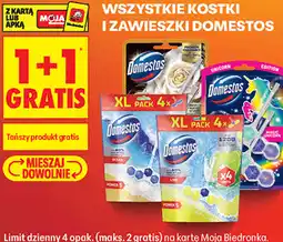 Biedronka Wszystkie kostki i zawieszki Domestos oferta