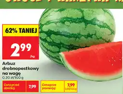 Biedronka Arbuz drobnopestkowy na wagę oferta