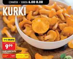 Biedronka Kurki, opak oferta
