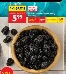 Biedronka Jeżyna polska, opak oferta