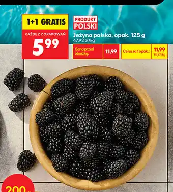 Biedronka Jeżyna polska, opak oferta