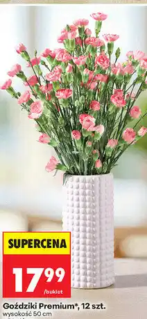 Biedronka Goździki Premium, 12 szt oferta