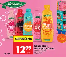 Biedronka Koncentrat Herbapol oferta