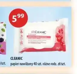 Drogerie Laboo Papier nawilżany Cleanic 40-pak oferta