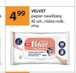 Drogerie Laboo Papier nawilżany Velvet 42-pak oferta