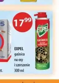 Drogerie Laboo Gaśnica na osy i szerszenie Expel oferta