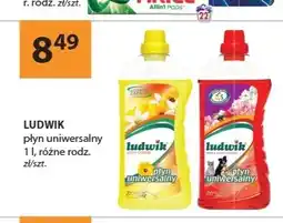 Drogerie Laboo Płyn uniwersalny Ludwik Letni Ogród oferta