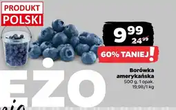 Netto Borówka amerykańska Polski oferta