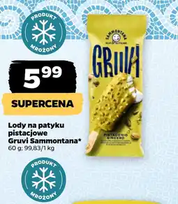 Netto Lody Sammontana oferta