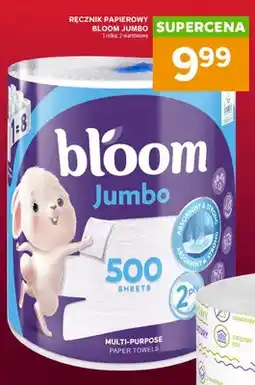 Stokrotka Ręcznik papierowy Bloom Jumbo 2-warstwowy oferta