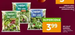 Stokrotka Mix sałat z rukolą Gardinia oferta