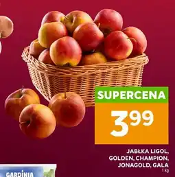 Stokrotka Jabłka Gala oferta