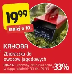 Jula Zbieraczka do owoców jagodowych Kayoba oferta
