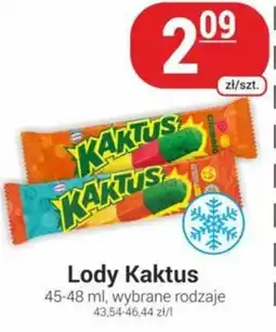 Delikatesy Sezam Lody Kaktus oferta