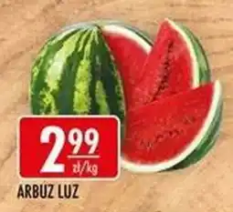 Sklepy Doroty Arbuz Luz oferta